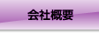 �L���s�S�~�|�L���Y�Ɓi���j��ЊT�v
