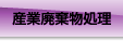 �L���s�S�~�|�Y�Ɣp��������